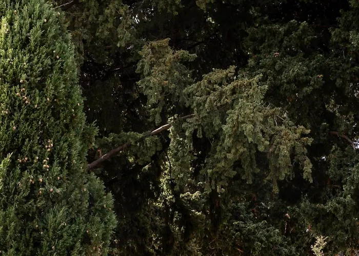 Luxury Sunset * Dubrovnik